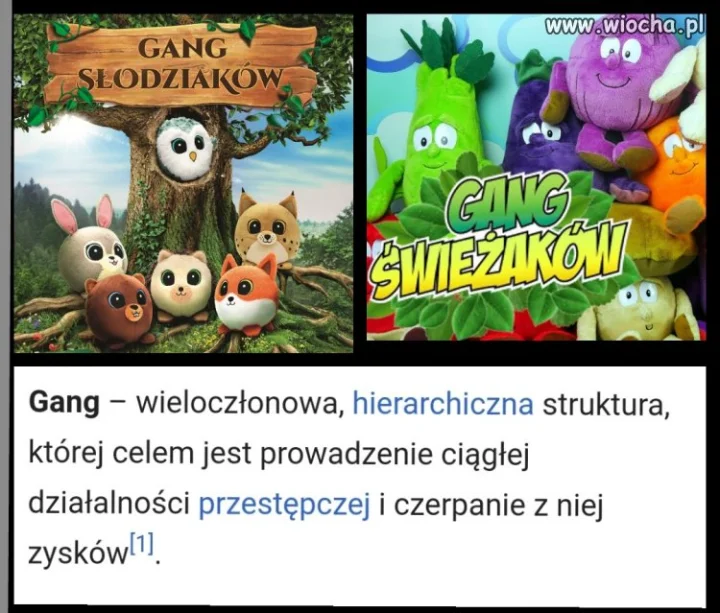 Bo gangi sa dobre