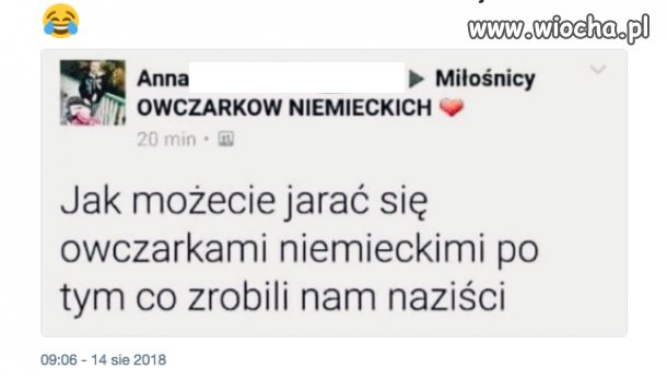 Dawno takiej głupoty nie widziałem
