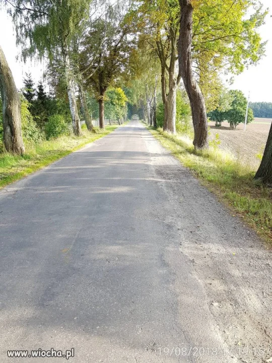 Niby droga wojewódzka (505)