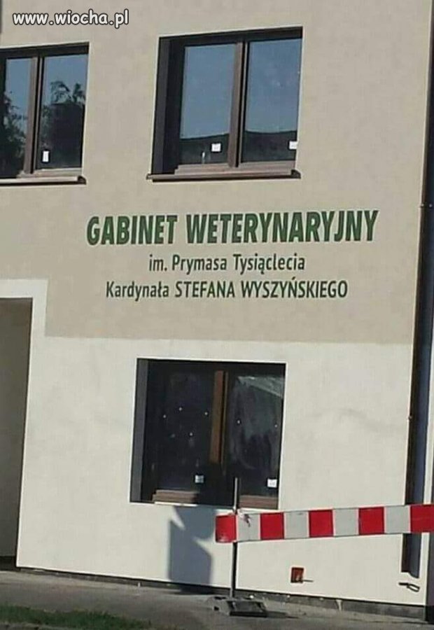 No to zwierzątka będą