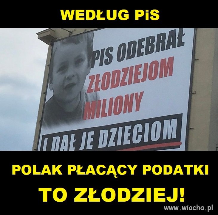 Mentalność PiS - uczciwy podatnik to złodziej!