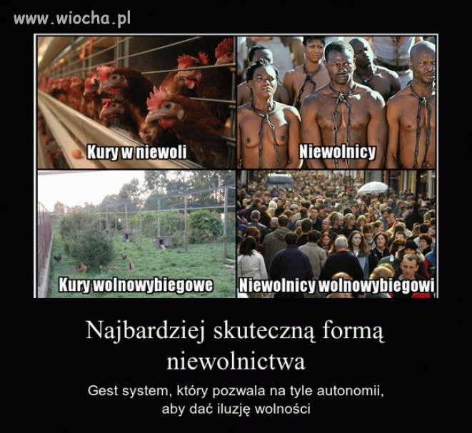 100 %