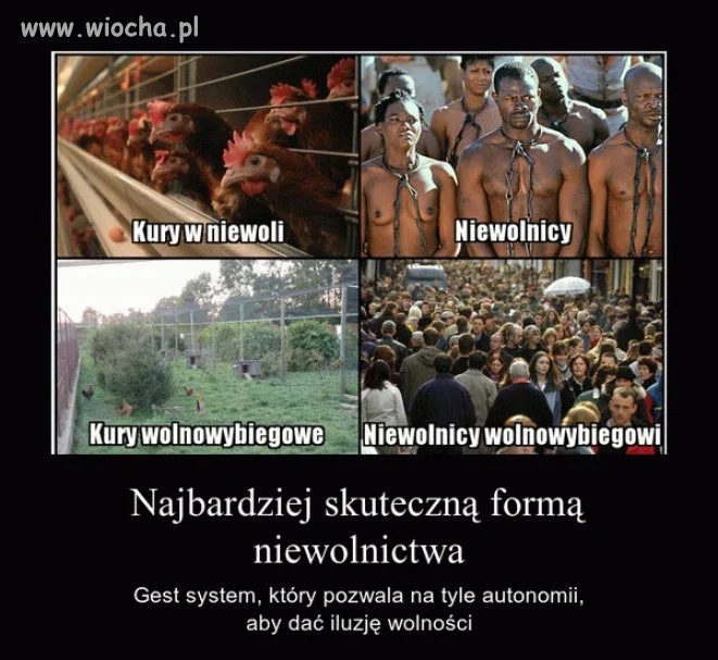 100 %