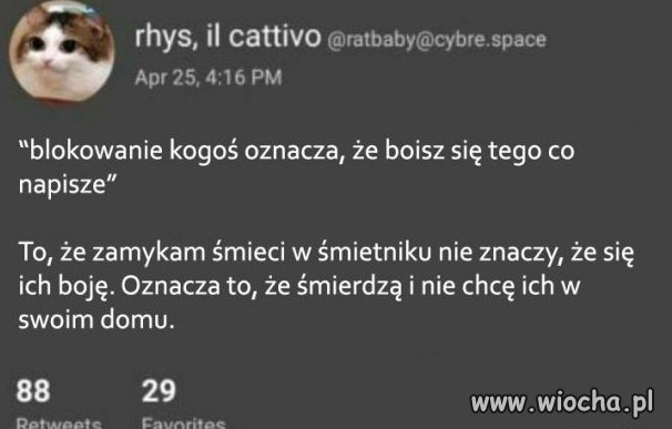 Wszystko