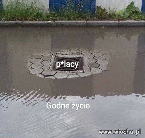 Heheszki polityczne