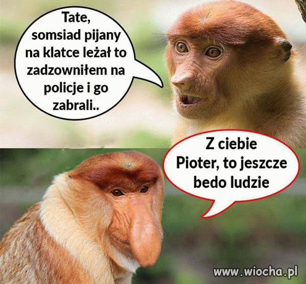 Jaki ojciec, taki syn