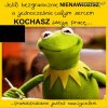 Nauczyciel