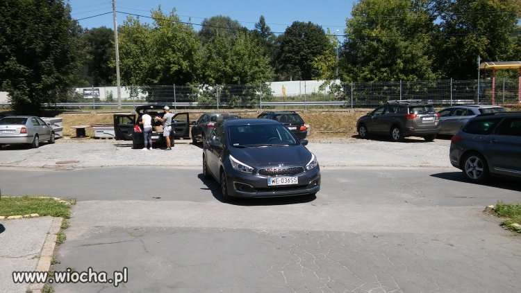 Miszcz parkowania