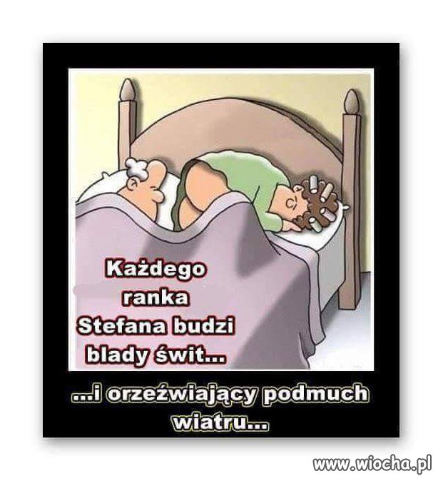 Poranek Stefana...