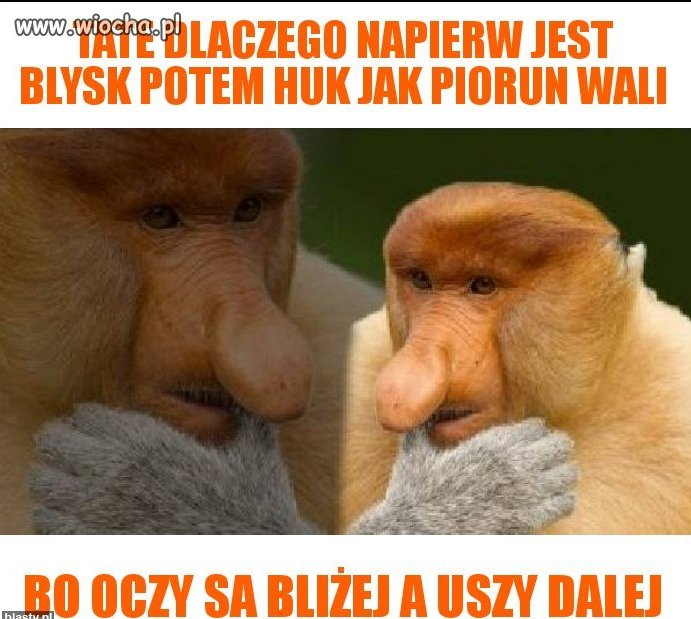 Janusz
