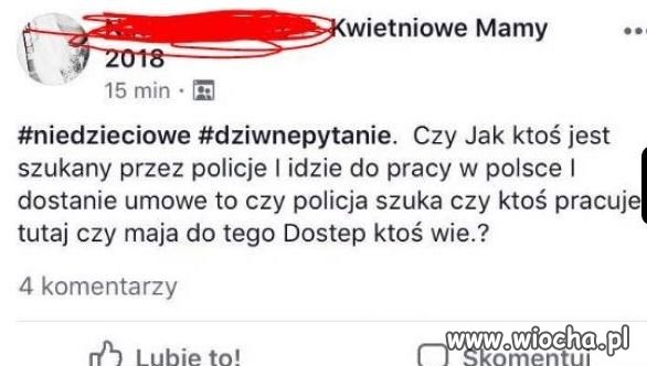Intrygujące