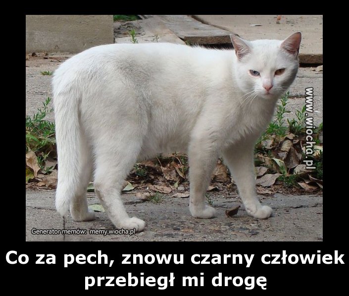 Co za pech, znowu czarny człowiek