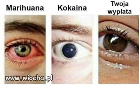 Nie inaczej.