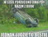 Porzucono dwa psy