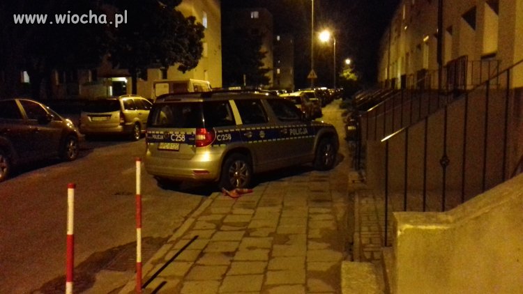 Co wolno wojewodzie 