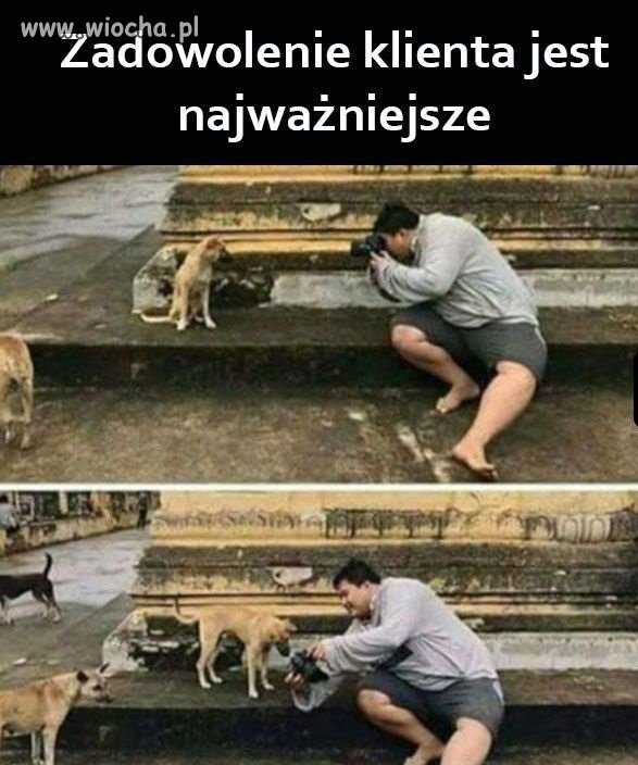 Ładnie