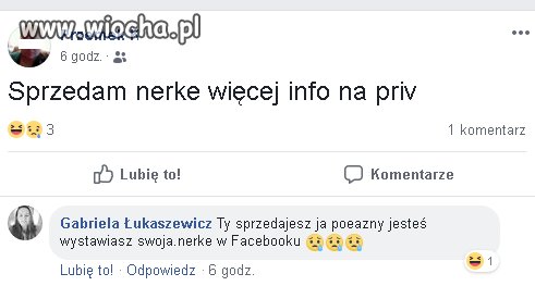 Sprzeda nerke 