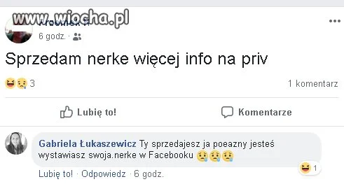 Sprzeda nerke 