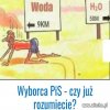 Wyborca Pisu