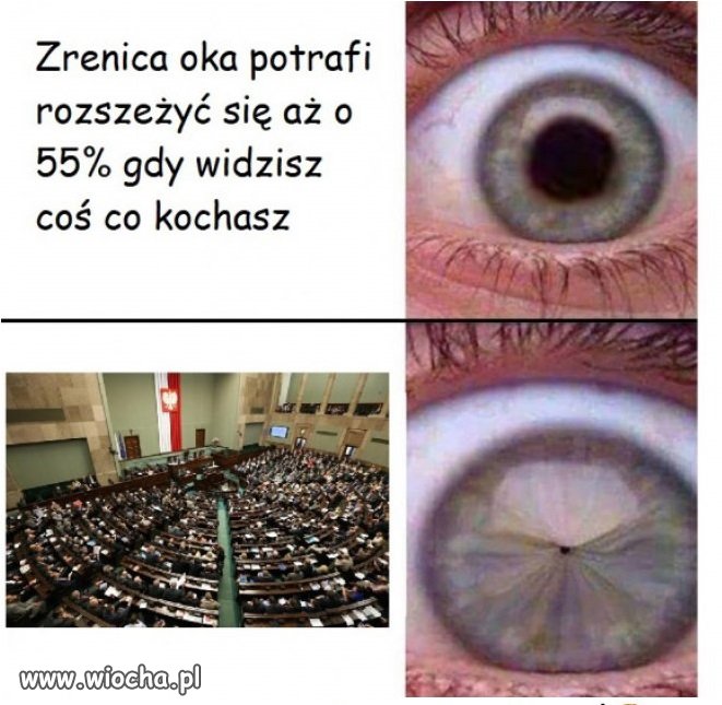 Mam to samo 