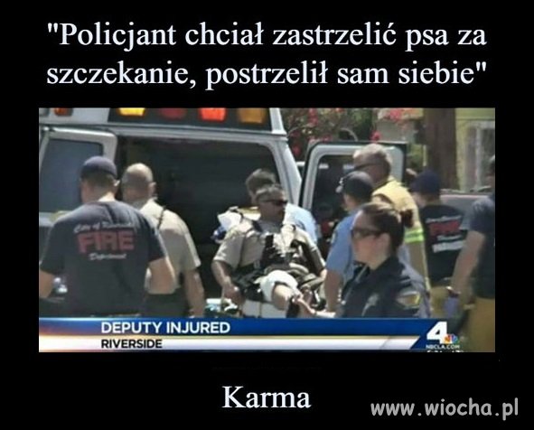 Daj takiemu broń