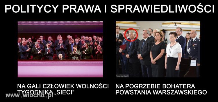 Taka prawda o PiSiorkach