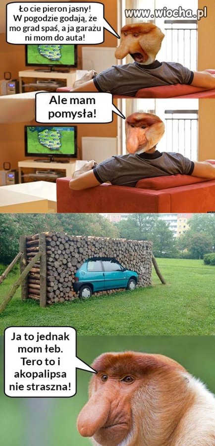Mam pomysła