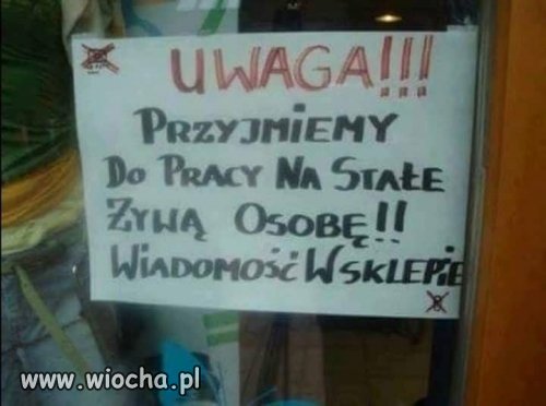 Oferta pracy