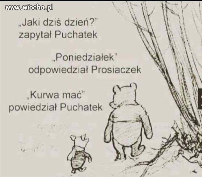 Puchatek na dziś