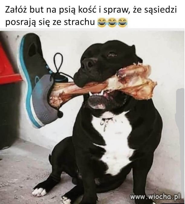 Makabryczny