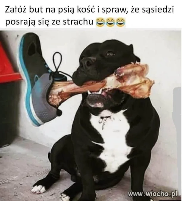 Makabryczny