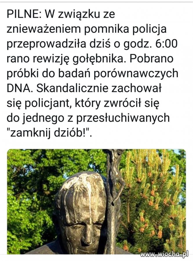 Pilne