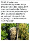 Pilne