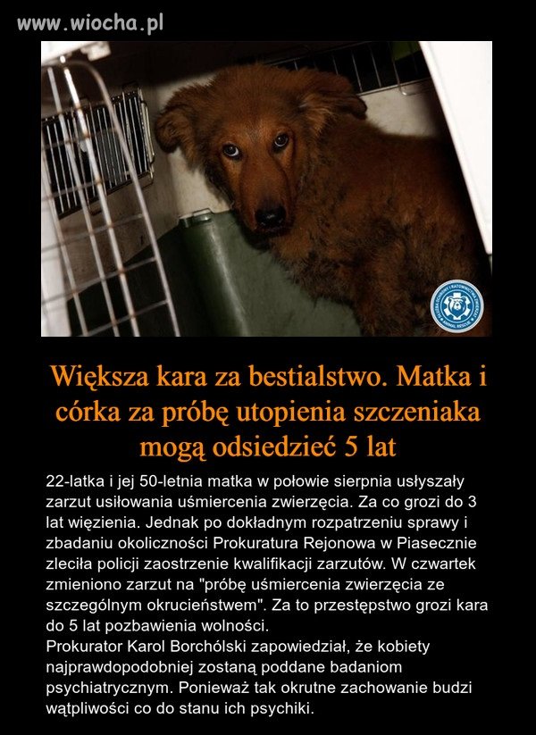 Psychika