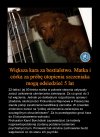 Psychika