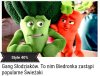 Uwaga madki i hore curki!
