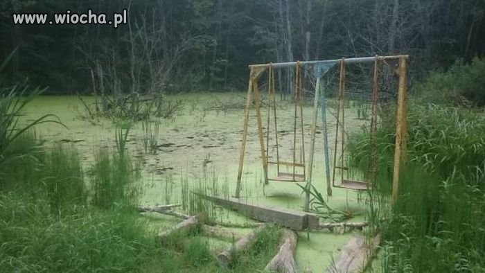 Karmnik dla anakond