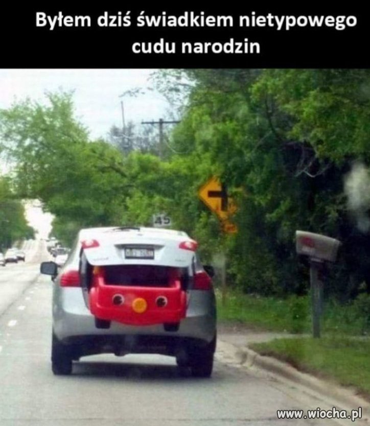 Cud narodzin