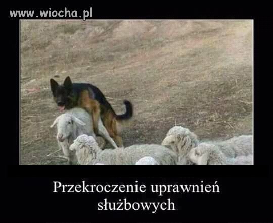 Znamy chyba zawody w PL