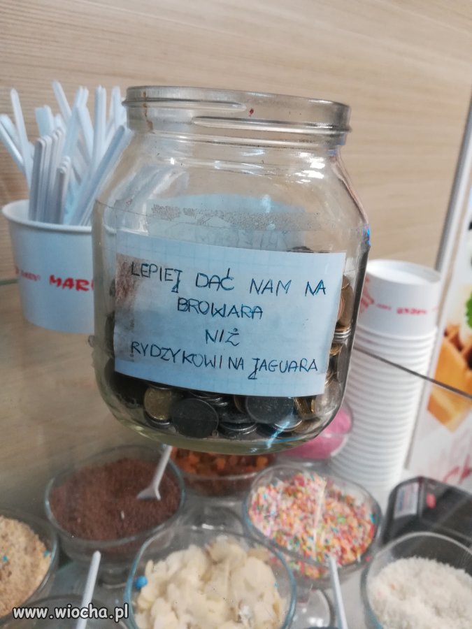 Znalezione we Władysławowie