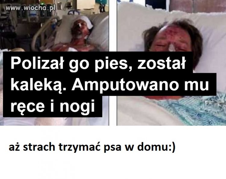 Taki tytuł
