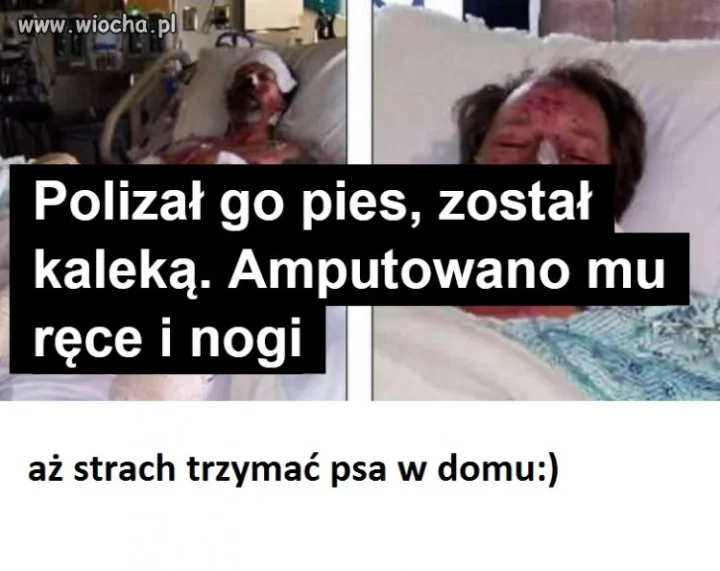 Taki tytuł