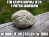 A mógł ten mądrzejszy temu głupszemu łeb rozbić