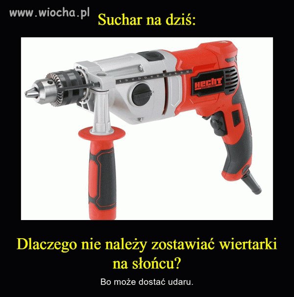 Suchar na dziś