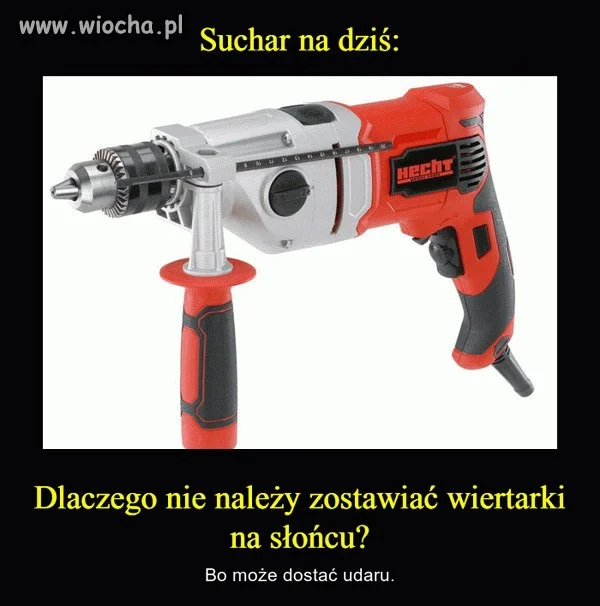 Suchar na dziś