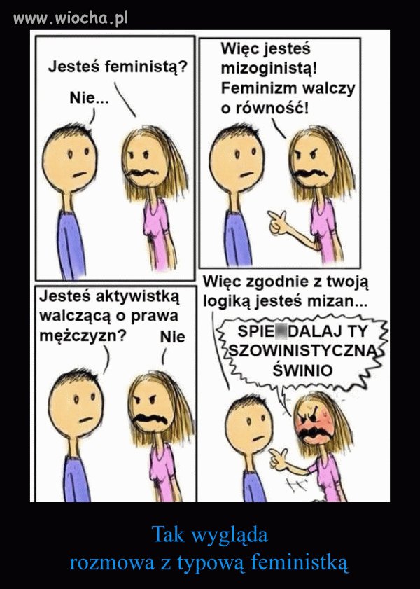 Feministki