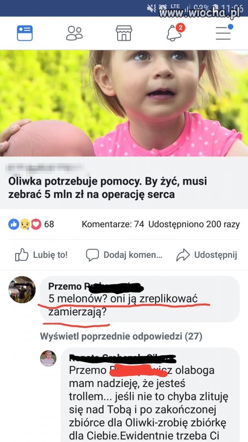 Po czym poznać buraka