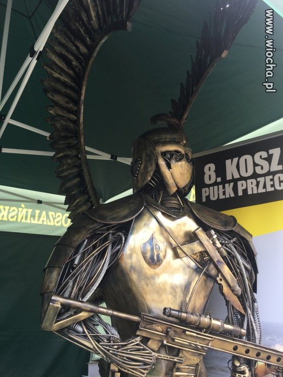 Współczesny Husarz 