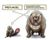Świat według Trumpa