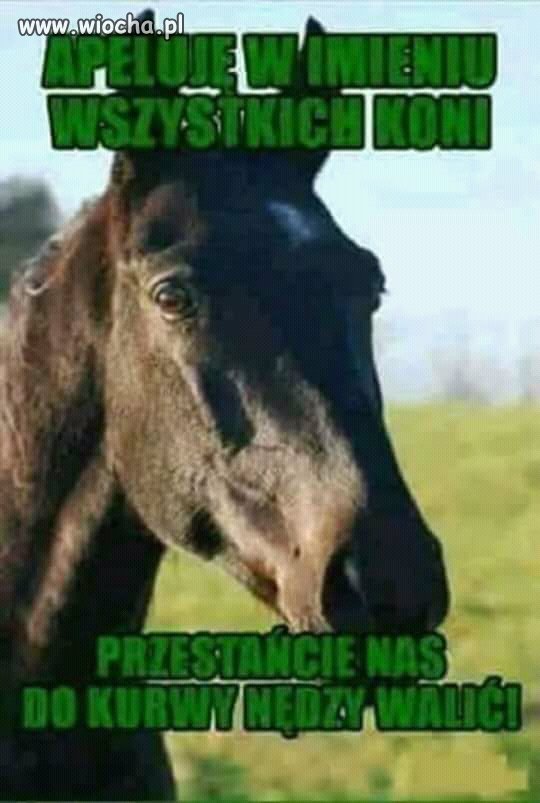 Prośba